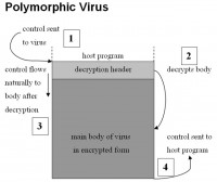 The use of cryptography in polymorphic virus' operation