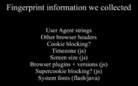 Fingerprint information components measured within 'Panopticlick' project