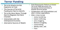 Terror funding specificities