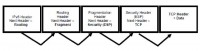 Next header fields in IPv6 and extension headers