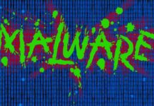 Searching for Malware: Essence and Methodology of the Research