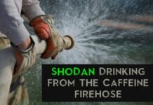 Drinking From the Caffeine Firehose We Know as Shodan