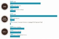 Top 3 vulnerabilities by language (Java, ColdFusion, C/C++)