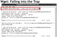 Wget forced into the trap