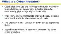 Insight into the concept of cyber predator