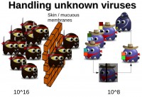 Number of biological viruses is finite