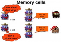 Memory mechanism implementation