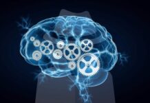 Open Source Intelligence by Jeff Bardin