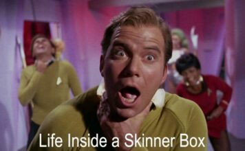 Life Inside a Skinner Box: Automated Law Enforcement