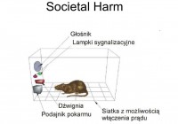 Possible societal harm