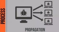 Propagation inside an organization