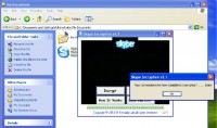 Bogus Skype encryption software