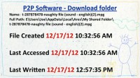 Analyzing the guy's P2P software download directory