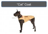 Small dog coat should work