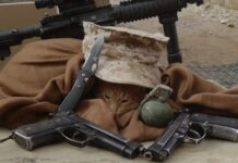 Weaponizing Your Pets: The War Kitteh and the Denial of Service Dog