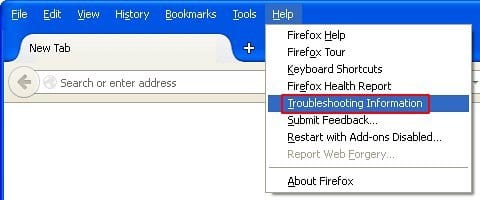 Go to Troubleshooting Information in Firefox