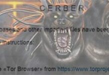 Cerber ransomware: virus removal and file recovery