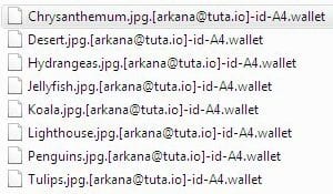 .wallet files encrypted by ransomware