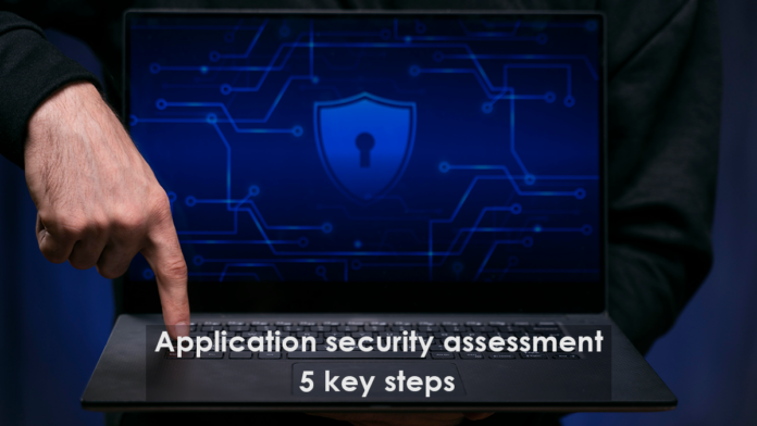 Application security assessment